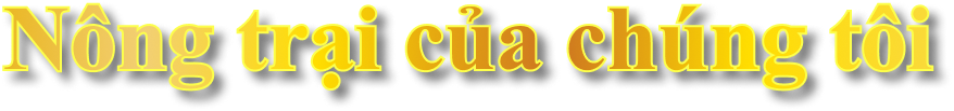 chữ nông trại