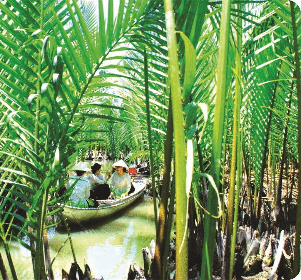 cây dừa trang liên hệ