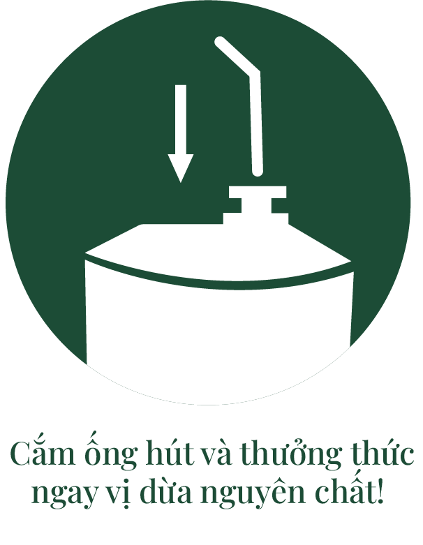 icon huong dan mo dua 3