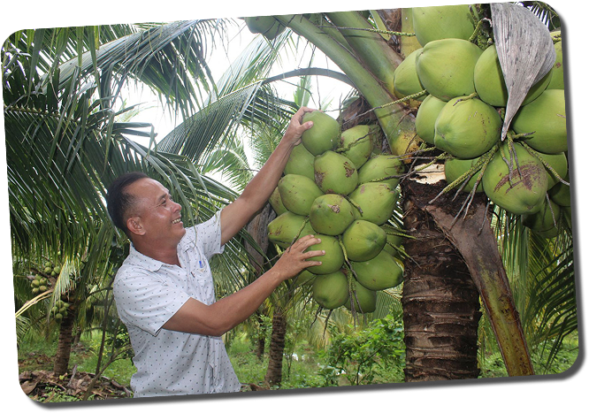 dân địa phương