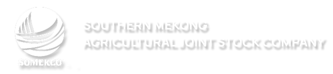 Logo Somekco trắng