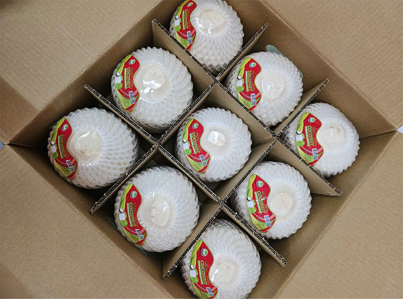 diamond-coco-product-02