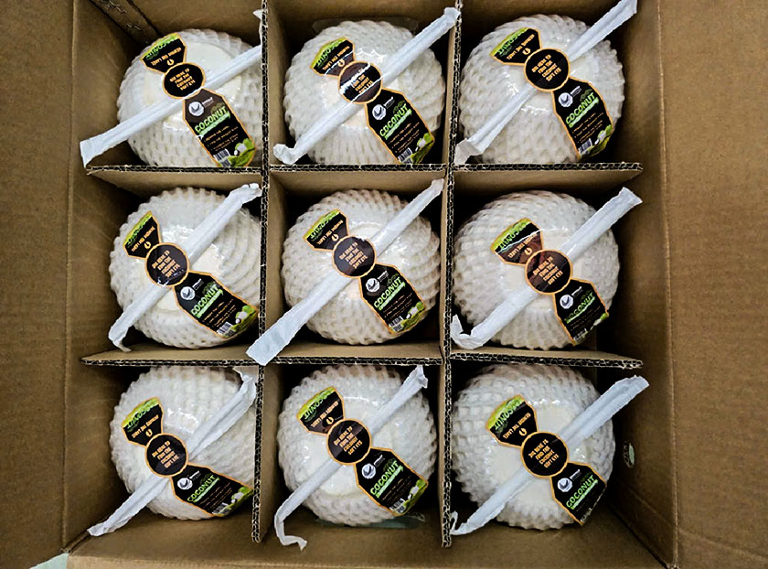 easy-coco-product-02