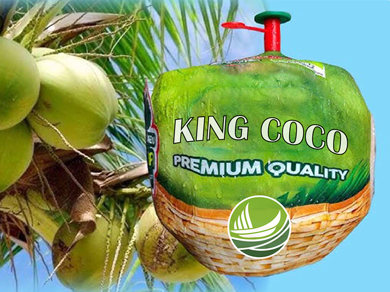 king-coco-product-03